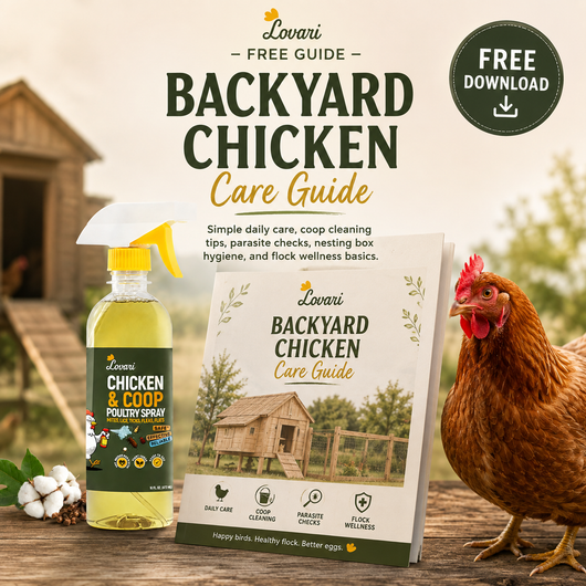 Backyard Chicken Care Guide