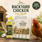 Backyard Chicken Care Guide